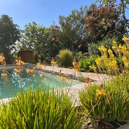 公寓 Casaceccu Casa D'estate *