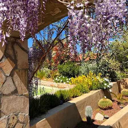 Casaceccu Casa D'estate 蒙蒂塞洛