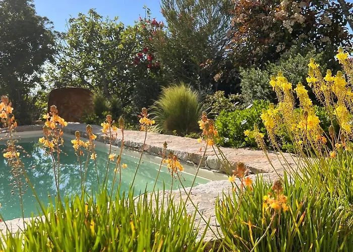 公寓 Casaceccu Casa D'estate *