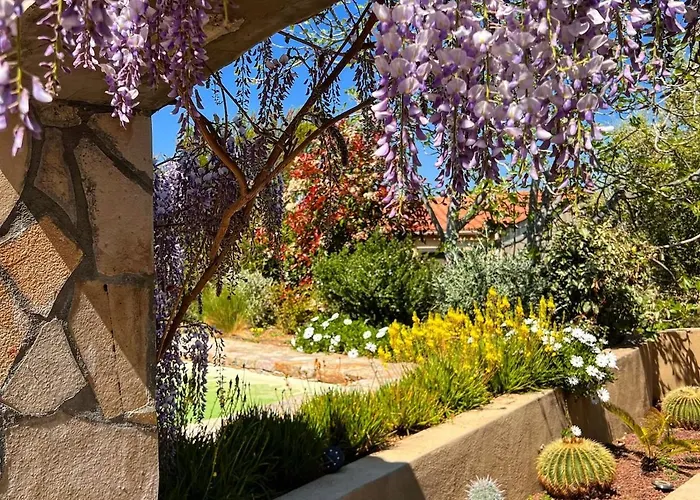 Casaceccu Casa D'estate Monticello